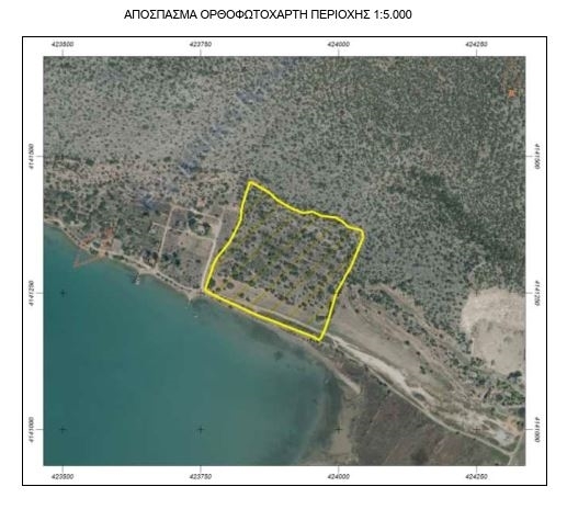 Κρανίδι κοιλάδα || Ν. Αργολίδας/Κρανίδι - 4.691 τ.μ, 437.000€ 