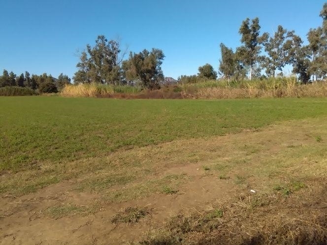 (Zum Verkauf) Nutzbares Land Grundstück || Messinia/Pylos - 94.000 m², 5.500.000€ 